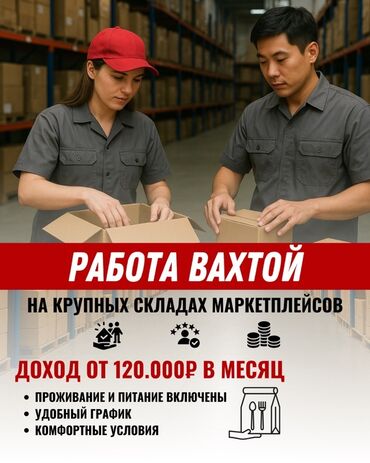 вакансии бишкек программист: Кладовщик