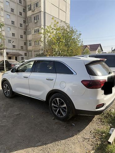 ayon i60: Kia Sorento: 2018 г., 2.2 л, Дизель — 3