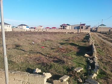 ramanıda: 10 sot, Kənd təsərrüfatı, Mülkiyyətçi, Kupça (Çıxarış) — 6