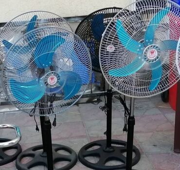 viltilyator: Serinkeş tezedir 3 perli 35 5 perli 36