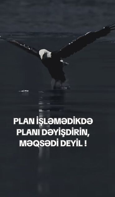 şəxsi bağ evine aile teleb olunur: Ofisiant tələb olunur, Pivə barı, Gündəlik ödəniş, İstənilən yaş, 1-2 illik təcrübə