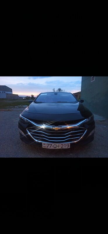 sadıq lapetler: Chevrolet Malibu: 1.5 l | 2019 il 12000 km Sedan