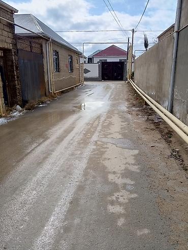 kənt colpası: 2 sot, Kənd təsərrüfatı, Mülkiyyətçi, Kupça (Çıxarış) — 6