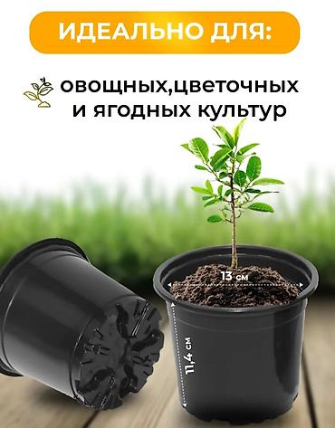 ягод: Набор горшков для рассады - Назначение: для овощных, цветочных и — 1