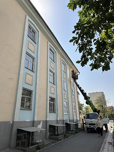 Побелка: Наружная побелка, Побелка потолков, Побелка стен | Известковая побелка, Мелковая побелка Больше 6 лет опыта at lalafo.kg — 35 Побелка: Наружная побелка, Побелка потолков, Побелка стен | Известковая побелка, Мелковая побелка Больше 6 лет опыта — 35