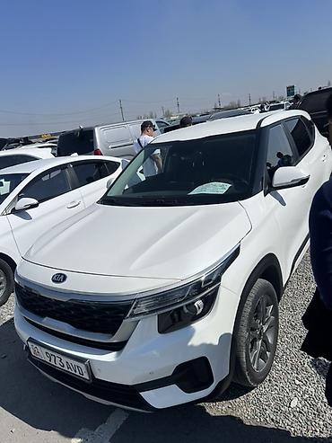 Kia: Kia Seltos: 2020 г., 1.6 л, Робот, Дизель, Кроссовер — 15