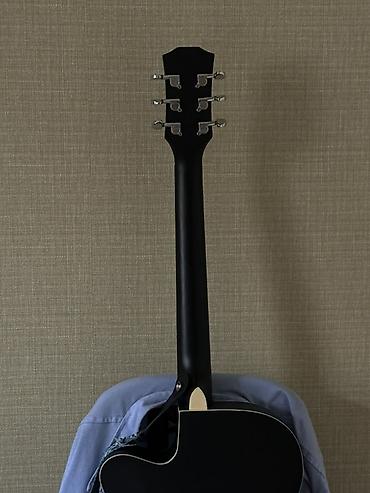 Akustik gitaralar: Akustik gitara, 6 sim — 4