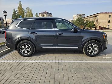аналог: Kia Telluride: 2019 г., 3.8 л, Автомат, Бензин, Кроссовер — 7