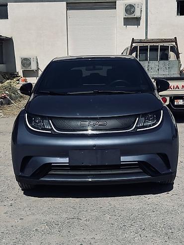 BYD: BYD Dolphin: 2025 г., Автомат, Электромобиль, Хэтчбэк — 1