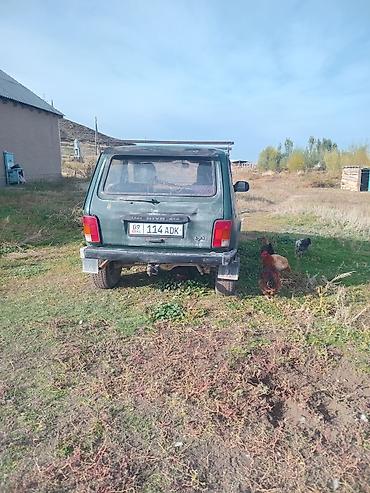 ВАЗ (ЛАДА): ВАЗ (ЛАДА) 4x4 Нива: 2000 г., 1.7 л, Механика, Бензин, Внедорожник — 2