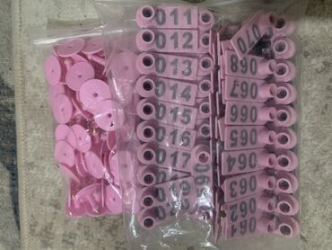 продажа домашних животных: Бирка для овец 
Бирка койлорго эчкилерге номер 001 100 
Цвет розовый