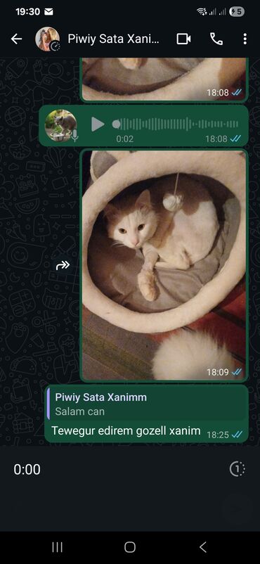 Pişiklər: Ünvandan götürmə — 5