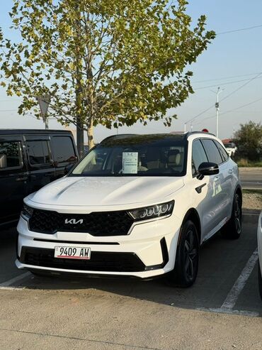 прокачка аммортизаторов: Kia Sorento: 2022 г., 2.5 л, Автомат, Бензин, Кроссовер