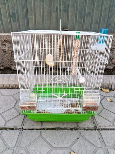 минеральная смесь для волнистых попугаев: Продам большую клетку для попугаев или других птиц в идеальном