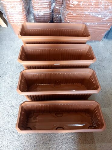 Bitkilər üçün dibçəklər: Dipçək dipcekler dipcek qablari dipcek qablar gul aabilar Dipcekler -da lalafo.az — 2 Bitkilər üçün dibçəklər: Dipçək dipcekler dipcek qablari dipcek qablar gul aabilar Dipcekler — 2