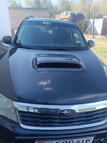 Subaru: Subaru Forester: 2009 г., 2.5 л, Автомат, Бензин, Кроссовер — 1