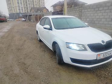 Skoda: Skoda Octavia: 2016 г., Седан — 7