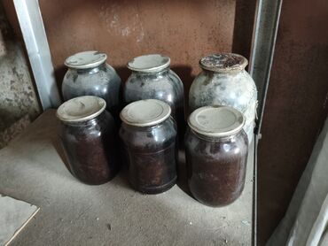 кровать для лежачих больных отдам даром: Варенье даром отдам Район первомайского РОВД Все вопросы строго сюда