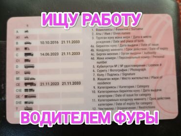 жумуш бишкек вадител: Водители грузового транспорта