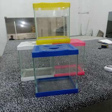 украшения для аквариума: Небольшой аквариум с пластиковой крышкой 20x22x15 cm