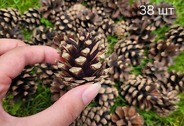жылга сай арча бешик: 🌲Шишки — набор для декора, творчества Состав набора: - Натуральный — 5