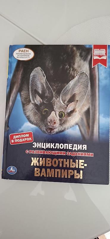 Детские книги: Продаю книги современной детской литературы, возраст, 6 12+. все at lalafo.kg — 2 Детские книги: Продаю книги современной детской литературы, возраст, 6 12+. все — 2