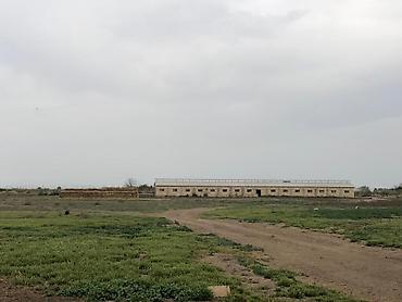 Kommersiya daşınmaz əmlakının satışı: 150 HEKTAR ƏRAZİ satılır İMİŞLİDƏ 110 HEKTAR Mülkiyyət Əkin — 7