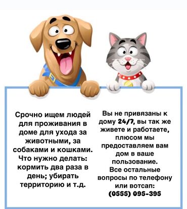 вакансии алтын кен: Срочно ищем людей для проживания в доме для ухода за животными, за