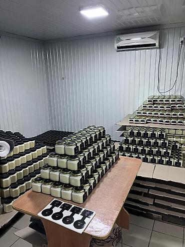 Мёд: Продаем мёд, белый Ат-Башинский, луговой, горный, разнотравье, мед с — 6