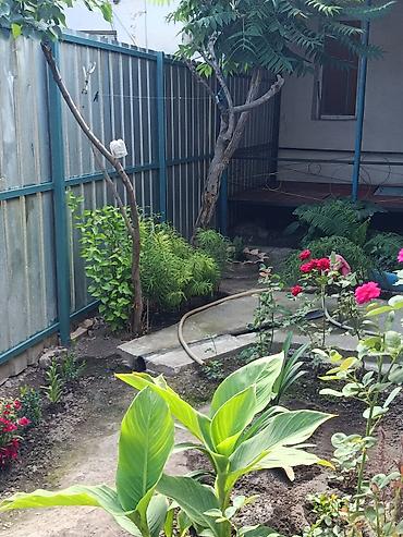 pet банки: Ул Оторбаева 55/2 в барачном доме двухкомнатная квартира с участком — 3
