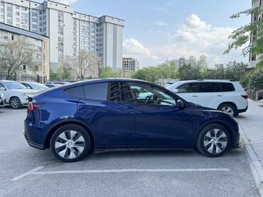 ишу машину: Tesla Model Y: 2022 г., 3 л, Автомат, Электромобиль, Хэтчбэк
