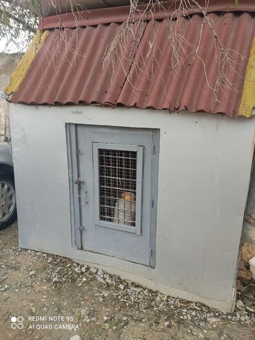 Yuvalar: Quşxana Satlır 30 cüt xana — 1