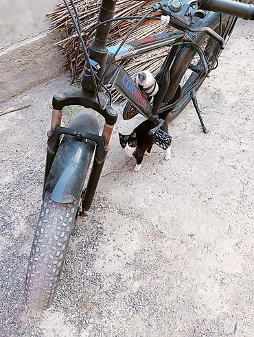 покрышка на велосипед: Фэтбайк CONWIND MT3 / Mountain Bike с широкими покрышками. Оснащён — 8