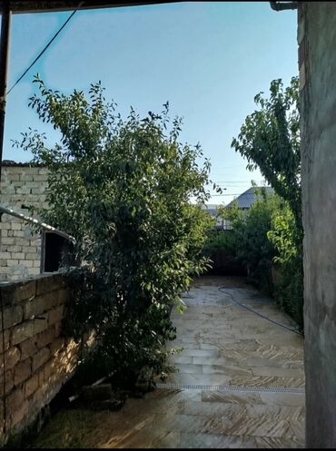 ev qapi ruckalari: 2.5 sot içinde Xocəhəsən qəs. 2 mertebe 5 otaq 110 kv.m kredit yoxdur