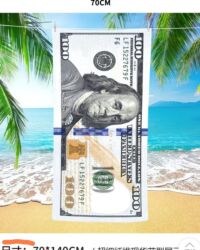 стандартные размеры одеял: Пляжное полотенце с принтом «100 долларов» - Яркий двусторонний принт