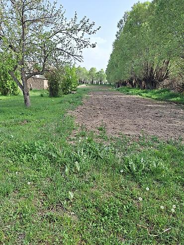 Продажа участков: 60 соток, Красная книга, Тех паспорт — 11