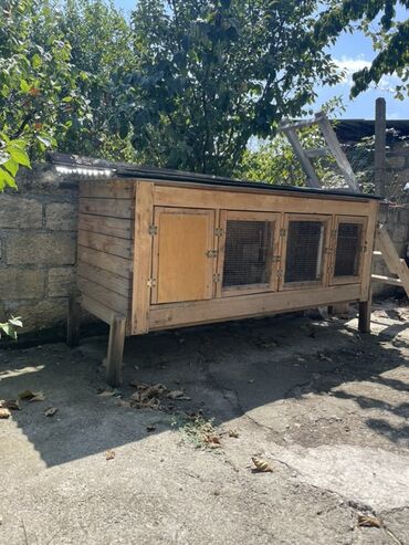 goyercin yuvası: Dovşan yuvası uzunluğ 185 eni 70 lalafo.az -da goyercin yuvası: Dovşan yuvası uzunluğ 185 eni 70