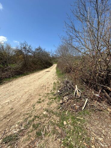 Torpaq sahələrinin satışı: 20 sot, Kənd təsərrüfatı, Mülkiyyətçi, Kupça (Çıxarış) — 10
