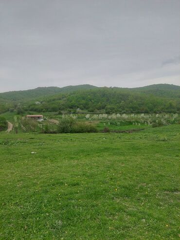 Torpaq sahələrinin satışı: 31 sot, Kənd təsərrüfatı, Kupça (Çıxarış) -da lalafo.az — 10 Torpaq sahələrinin satışı: 31 sot, Kənd təsərrüfatı, Kupça (Çıxarış) — 10