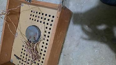 Audio: 2 Edet kalonka satiram 2 birlikde 60 manat — 2