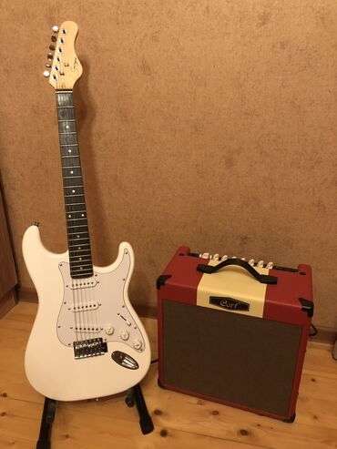 Elektro gitaralar: Elektron gitara, Fender