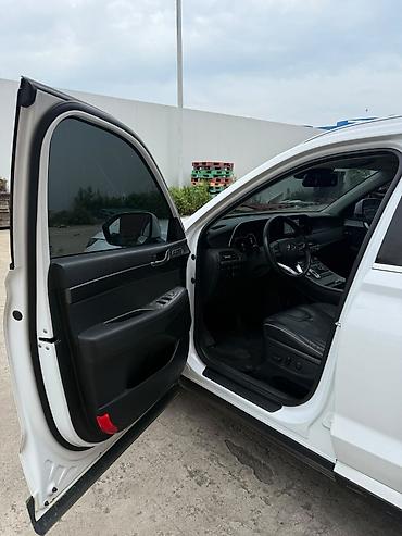 киа палисат: Hyundai Palisade: 2022 г., 2.2 л, Автомат, Дизель, Кроссовер — 10