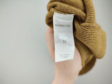 and bear pull: Cedar Wood State, Sweter dla mężczyzn, rozmiar M — 5