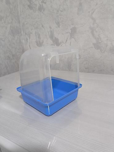 ucuz quşlar: Quşlar uçun cimmek ucun hamam — 2
