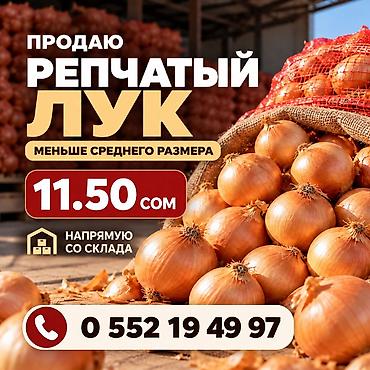 торцовочная пила с протяжкой бу: Лук Оптом — 1