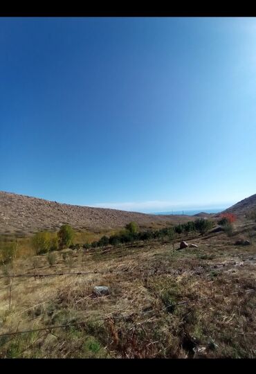 Другие товары для дома и сада: Продается действующий бизнес кашар вместе с садом для разведения скота — 13