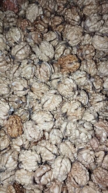 Сухофрукты, орехи, снеки: Продаю очищенные и неочищенные грецкие орехи. Высший сорт(цельные) -