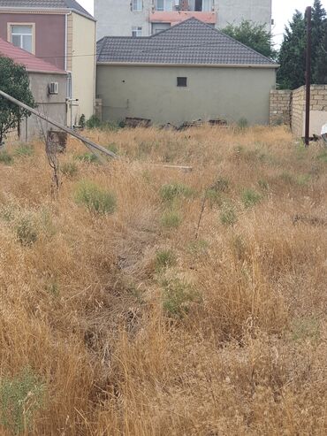 Aş qazanı: 2 sot, Tikinti, Maklerlər narahat etməsin, Kupça (Çıxarış)