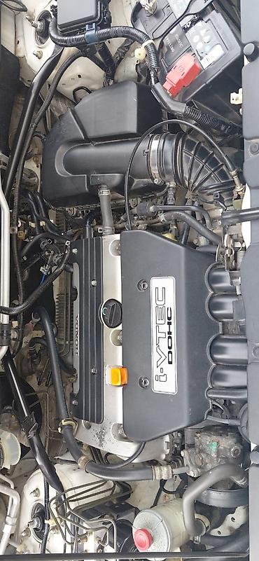 Honda: Honda CR-V: 2003 г., Кроссовер — 13