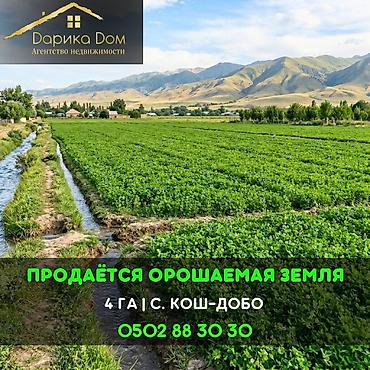 4 комнаты: 400 соток — 1